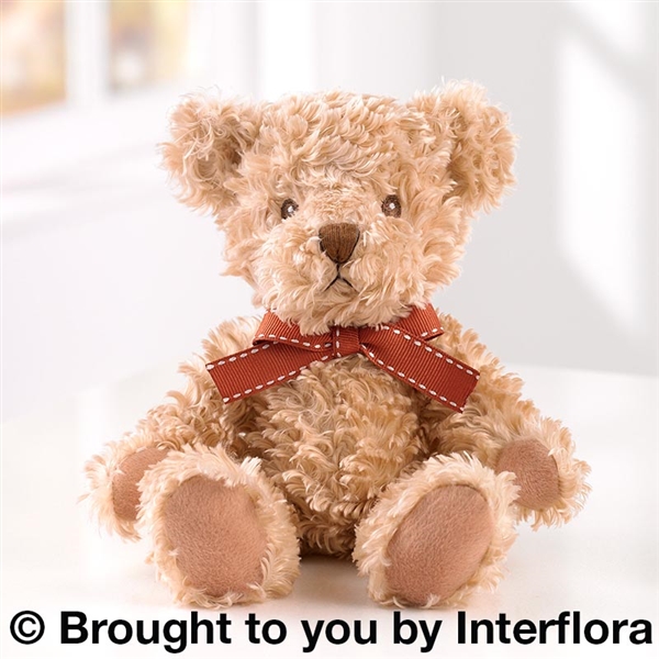 Teddies and soft toys